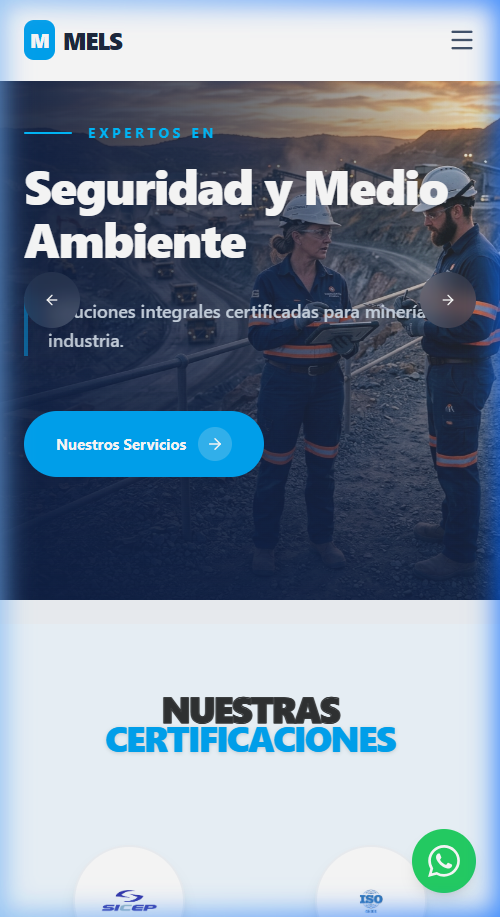 Captura de pantalla de MEL'S Chile